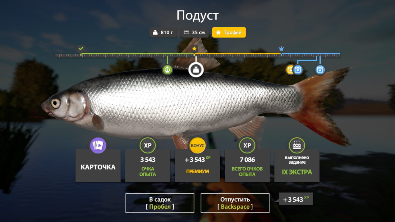 Река Северский Донец