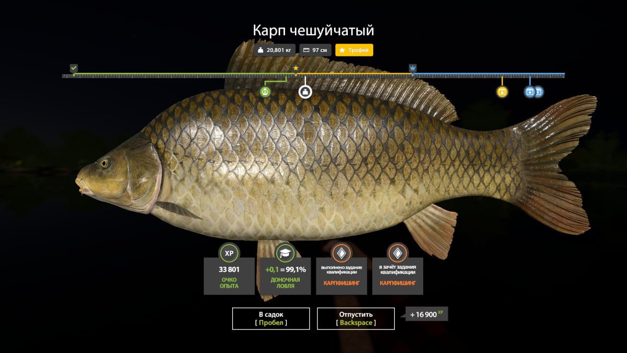 Miscellaneous — The Amber Lake