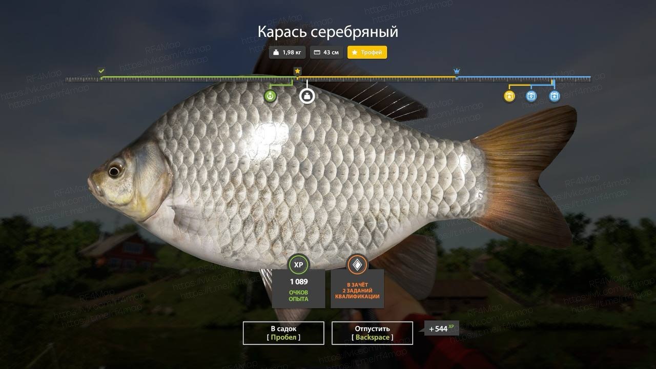Mosquito Lake