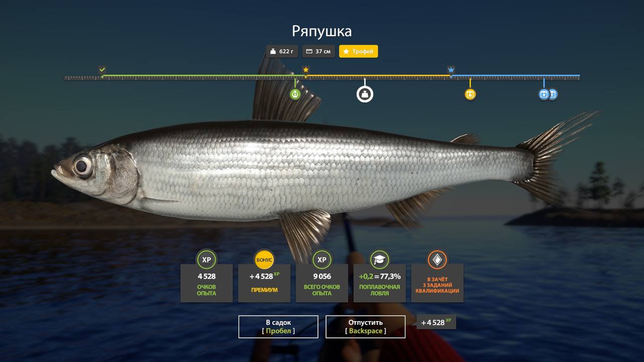 Трофей — Ладожский архипелаг