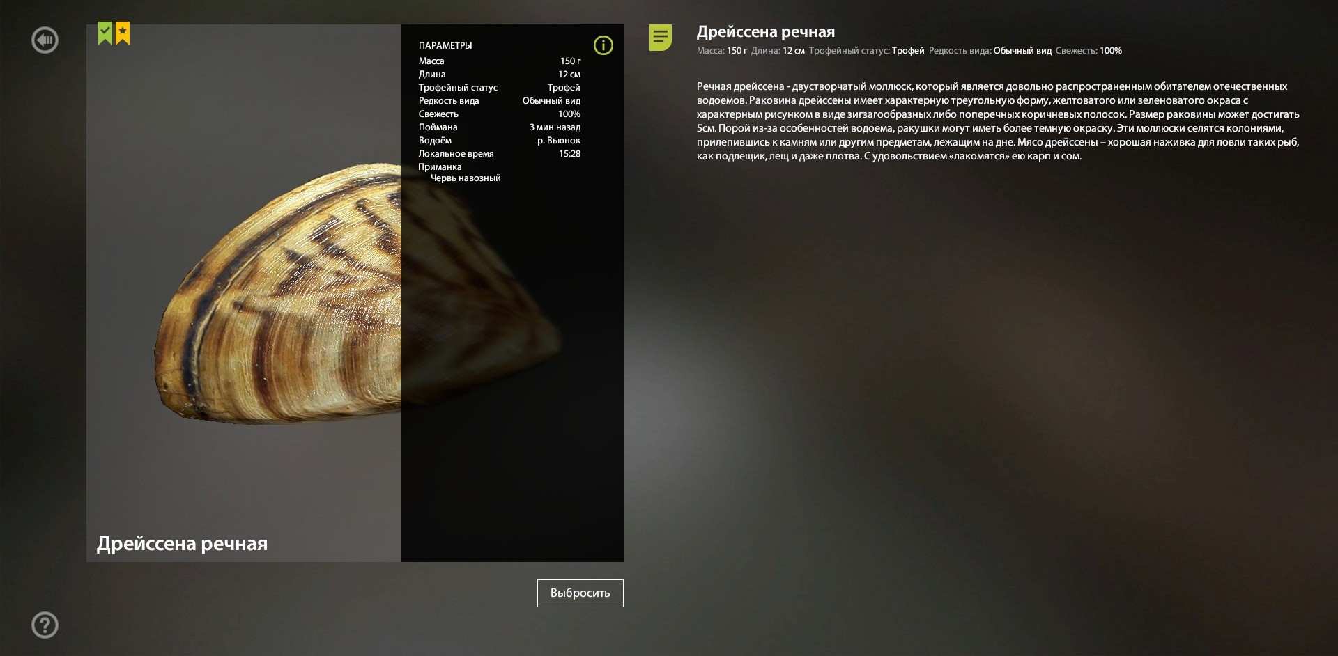 Winding Rivulet — Miscellaneous