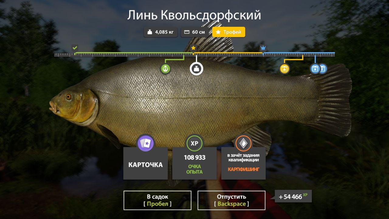 Трофей — Озеро Медное