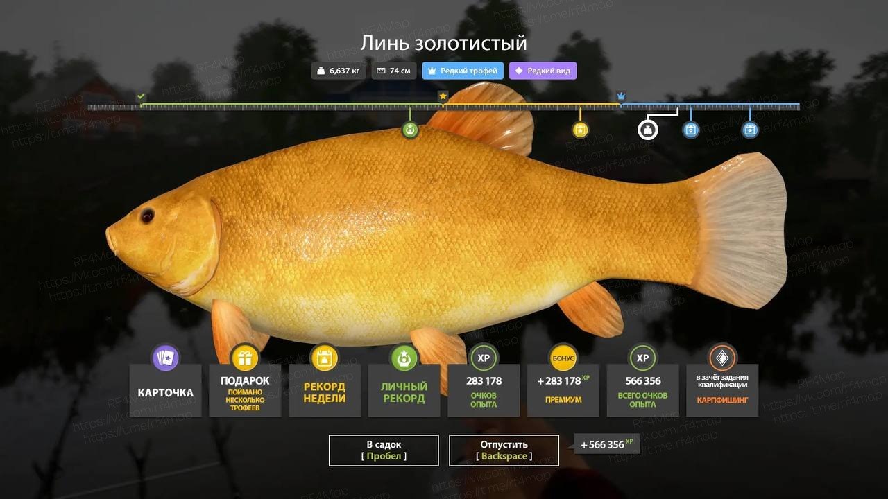 Озеро Комариное