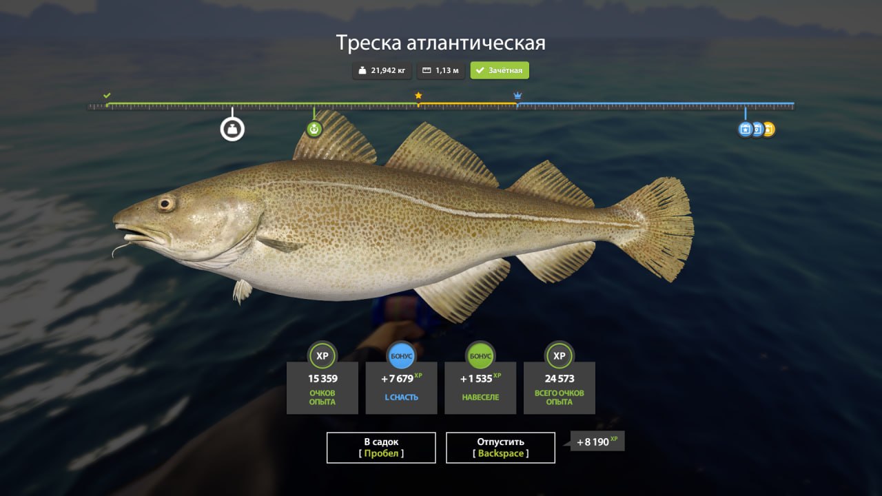 Norwegian Sea — Miscellaneous