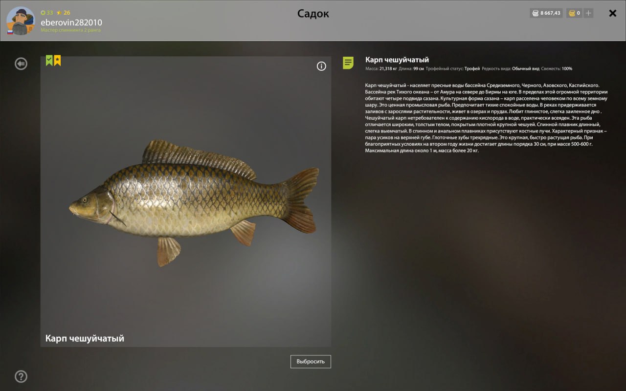 Трофей — Озеро Янтарное