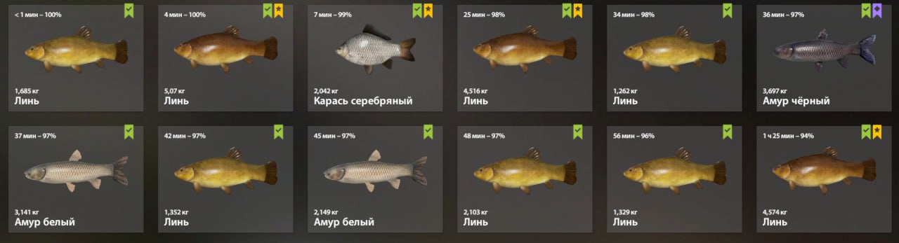 Озеро Старый Острог — Садок
