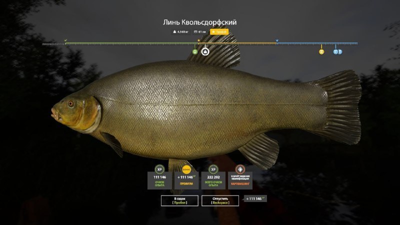 Трофей — Озеро Медное