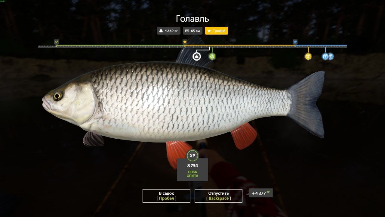 Трофей — Река Вьюнок