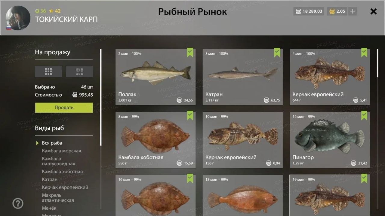 Норвежское море