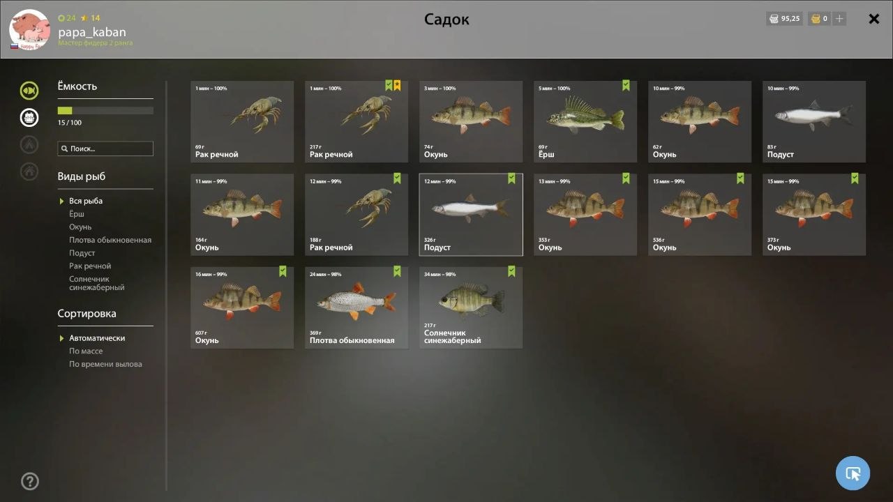 Winding Rivulet — Keepnet