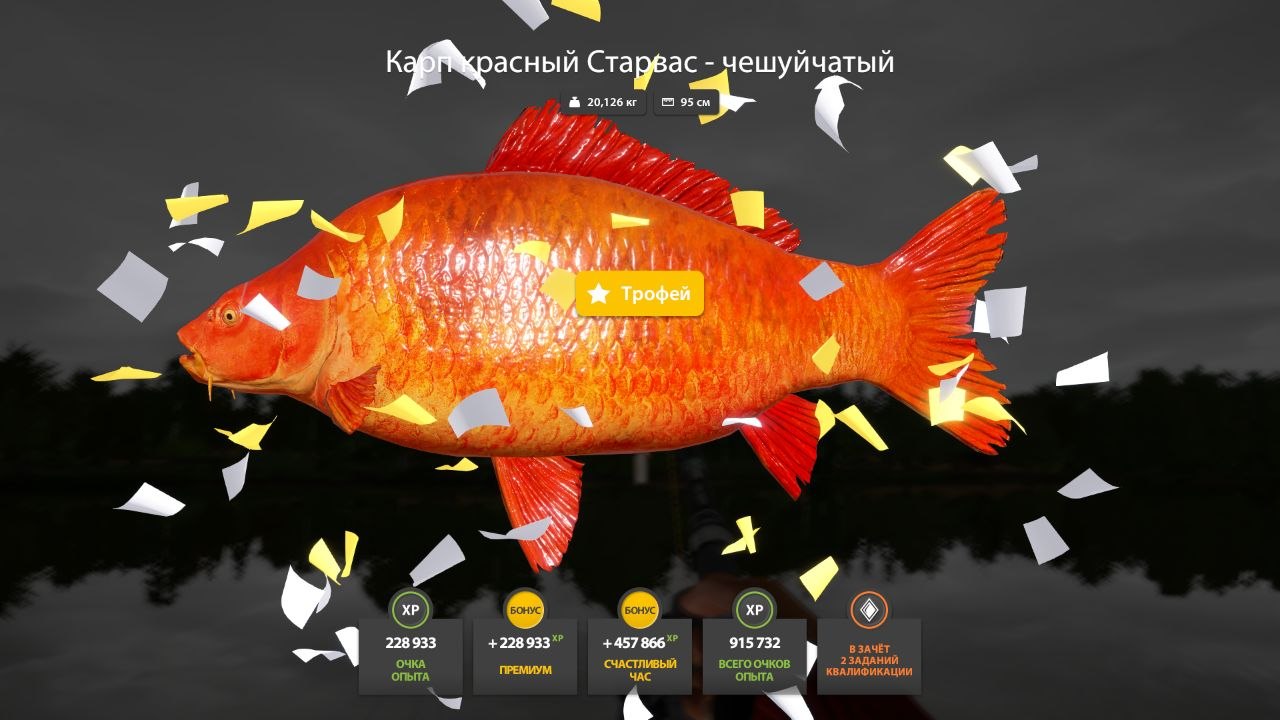 Trophy — The Amber Lake