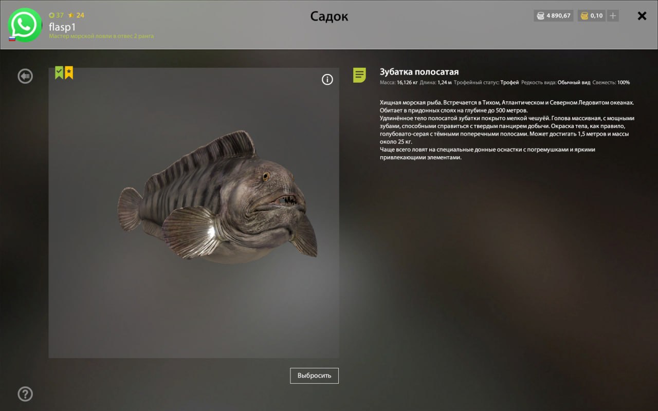 Trophy — Norwegian Sea