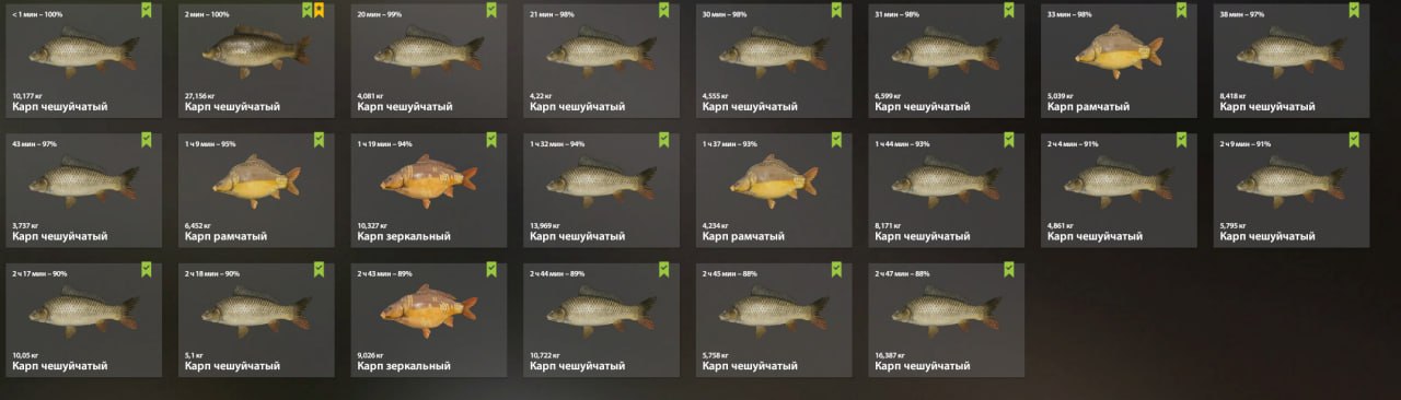 Озеро Янтарное — Садок