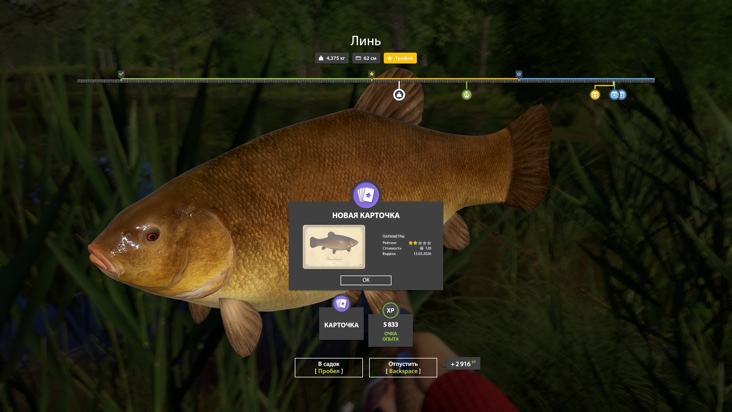 Copper Lake — Trophy