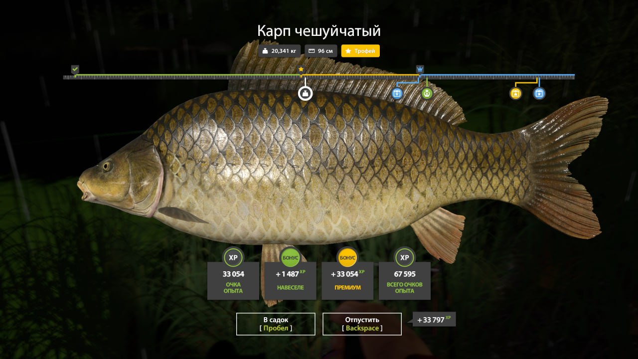 Trophy — Old Burg Lake