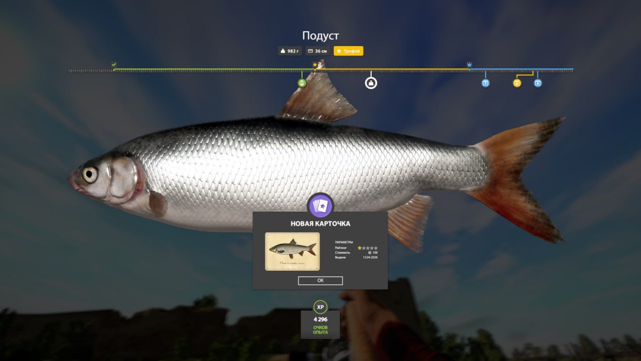 Река Волхов