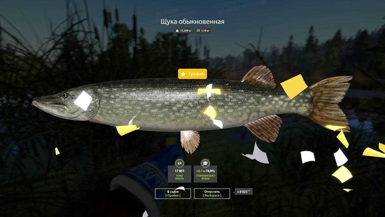 Old Burg Lake — Trophy