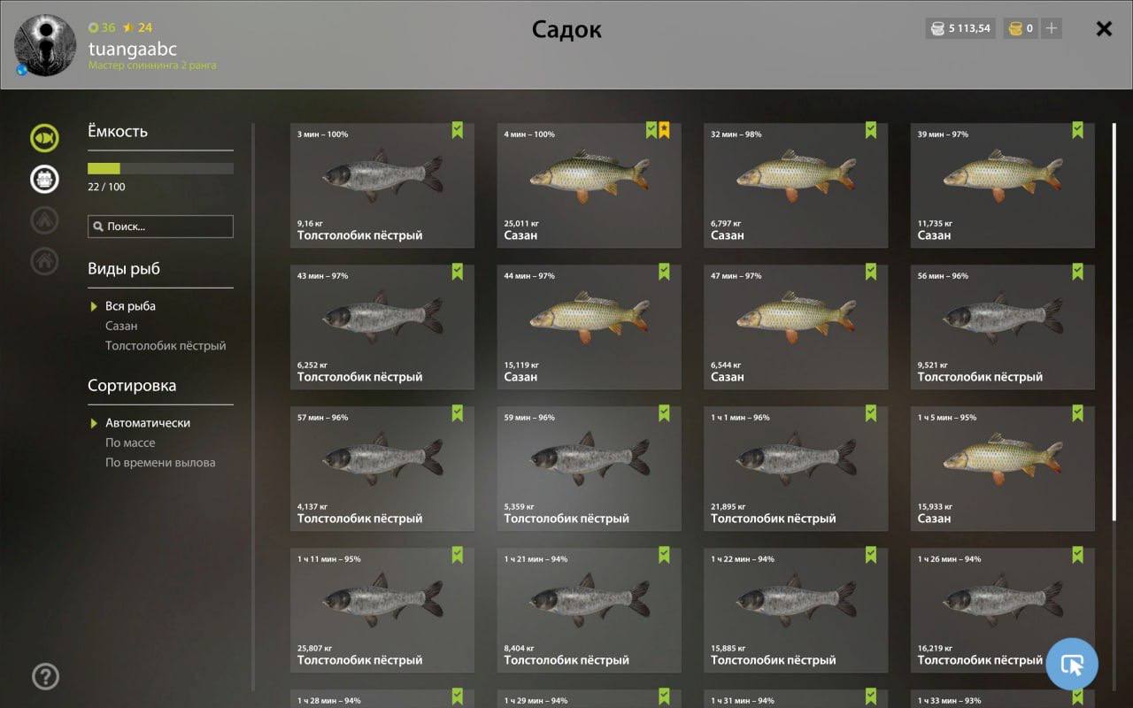 Река Ахтуба — Садок