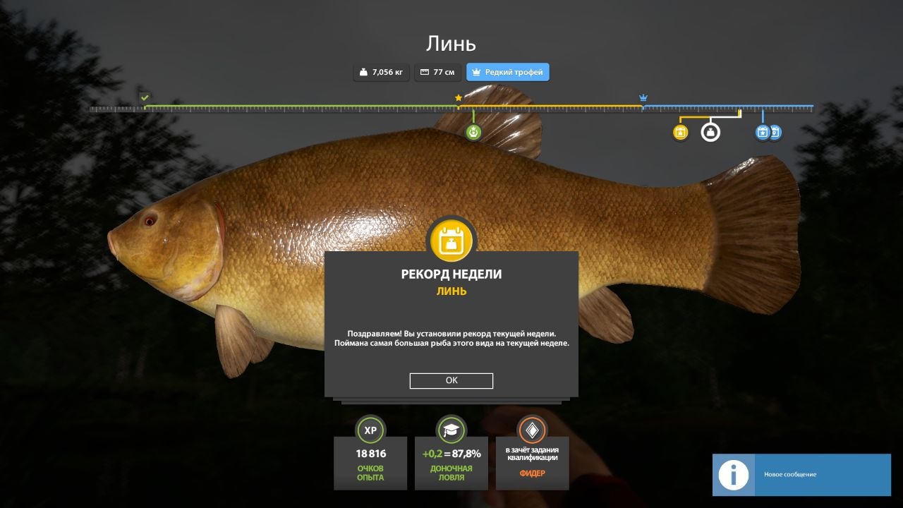 Copper Lake — Trophy