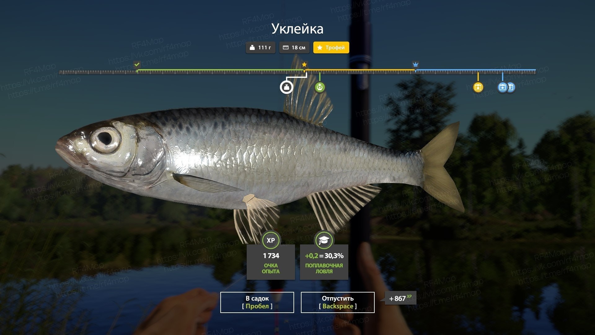 Mosquito Lake — Trophy