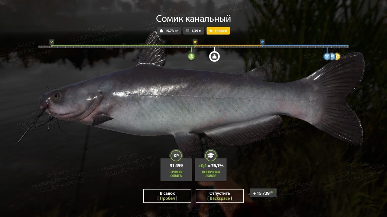 Озеро Лосиное