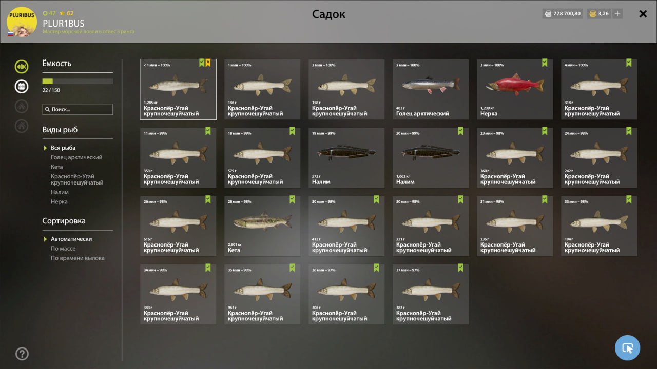 Садок — Река Яма