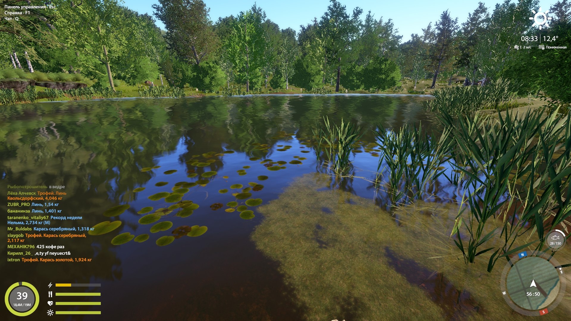 Spot — Copper Lake