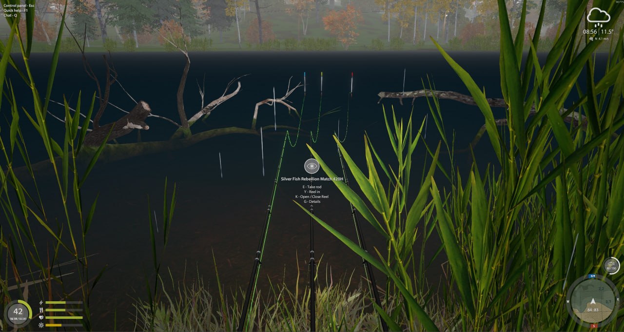 Точка — Озеро Лосиное