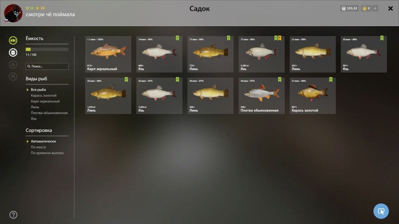 Озеро Комариное — Садок