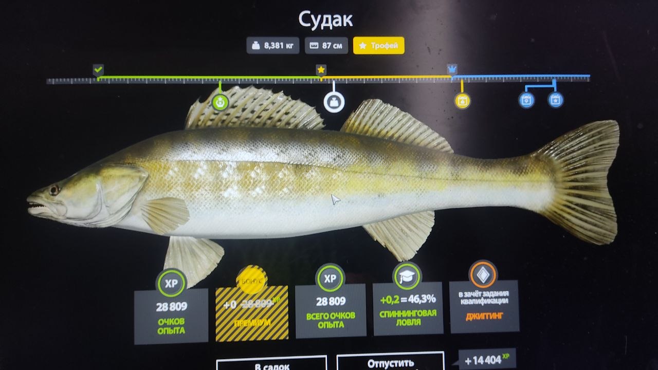 Sura River — Trophy