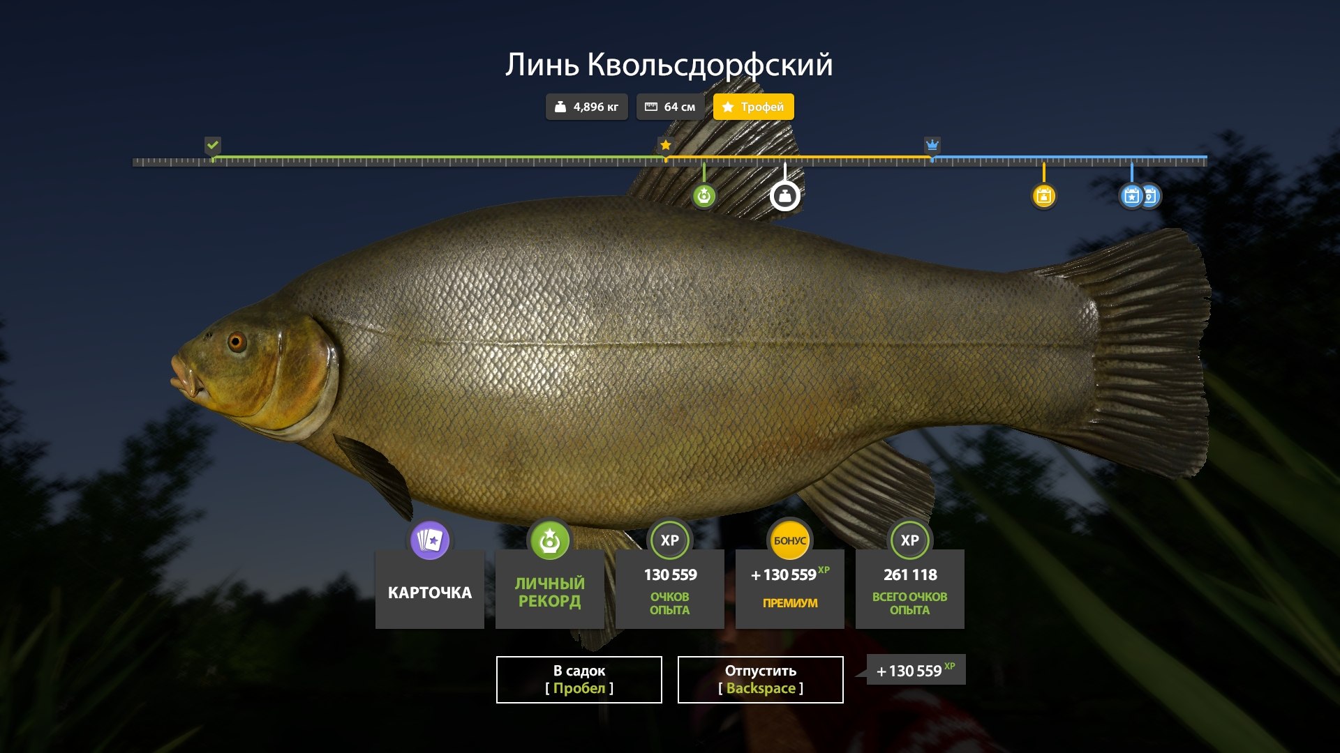 Трофей — Озеро Медное