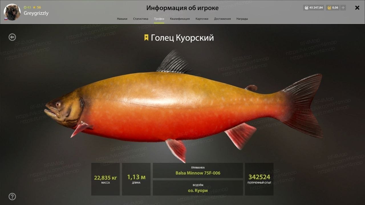 Озеро Куори