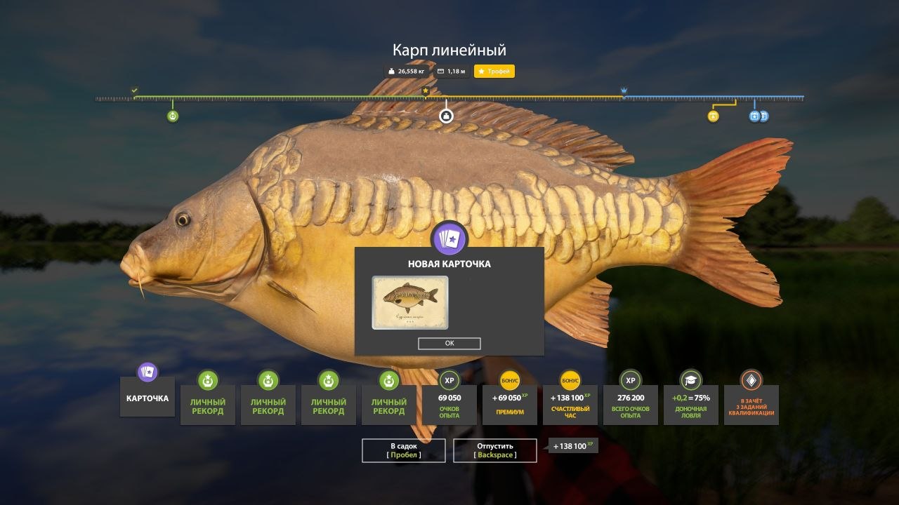 The Amber Lake — Trophy