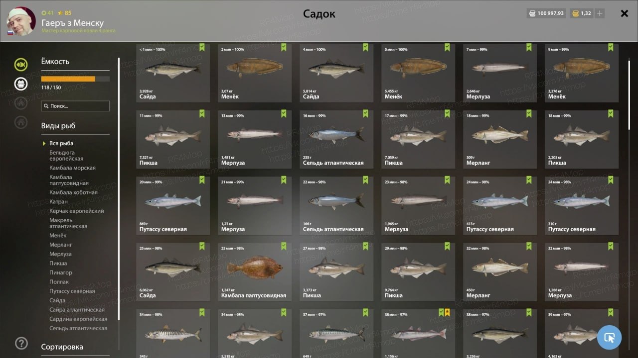 Норвежское море