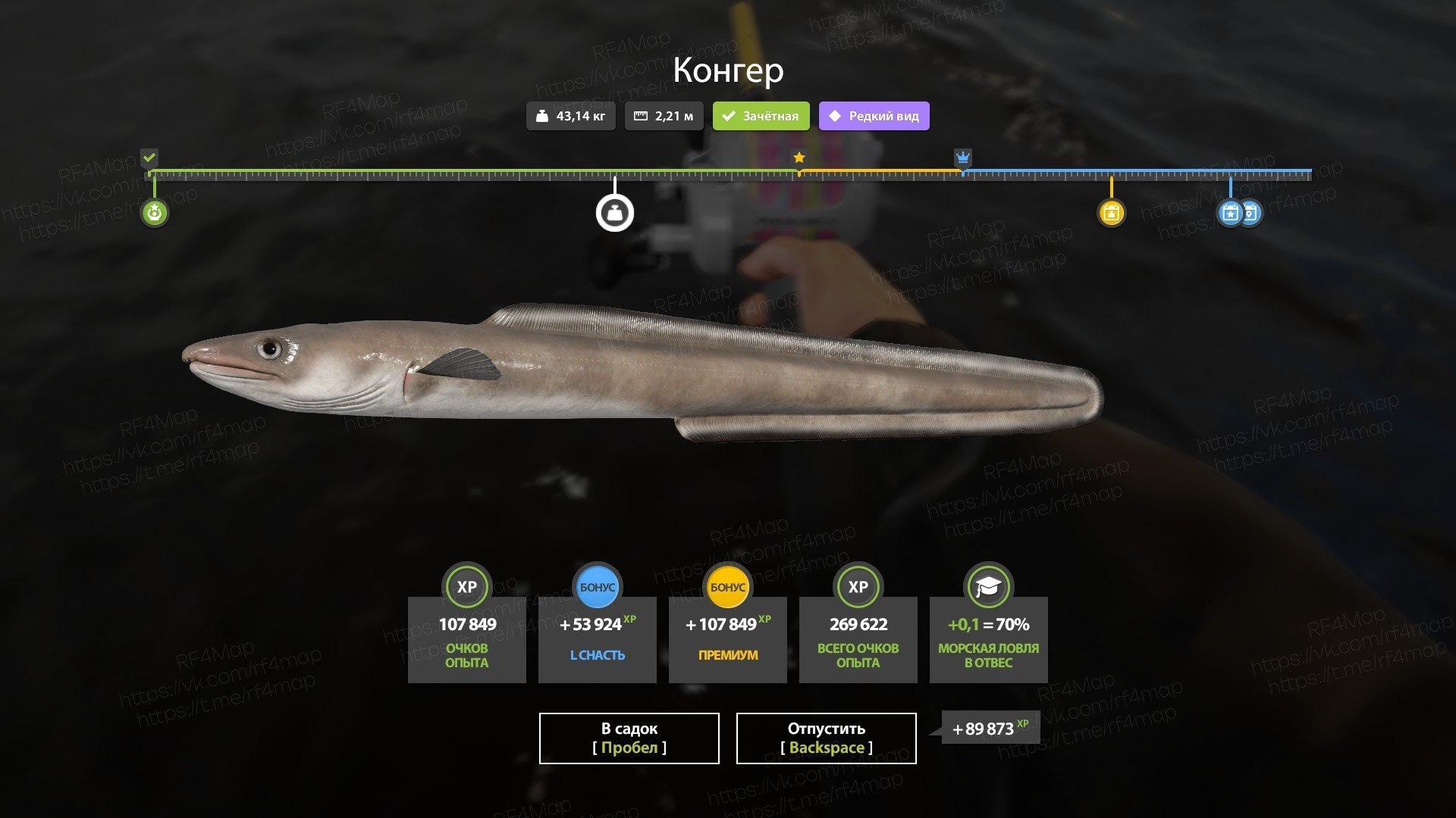 Норвежское море