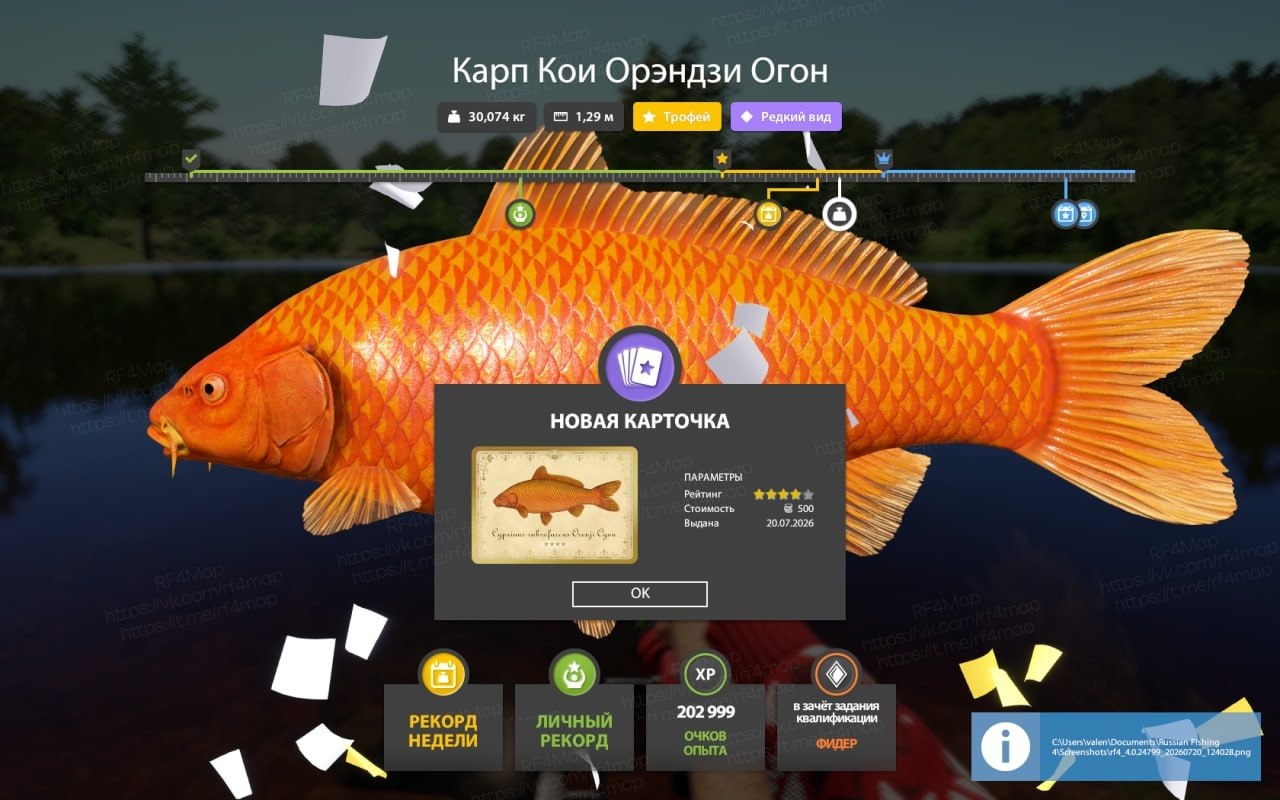 Copper Lake — Trophy