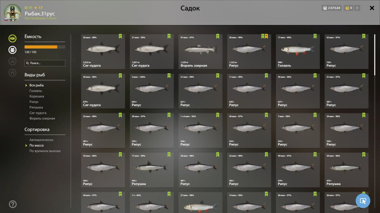 Ladoga Lake — Keepnet