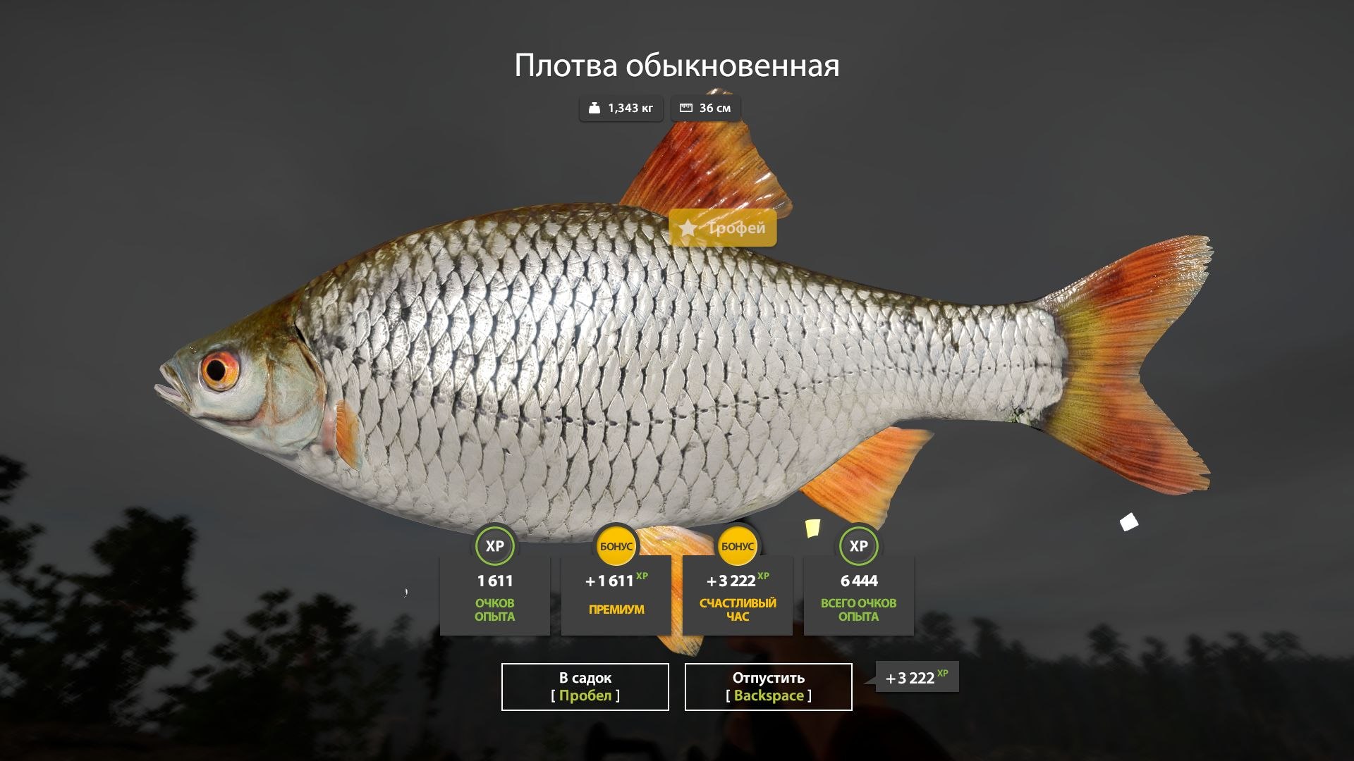 Ладожское озеро — Трофей