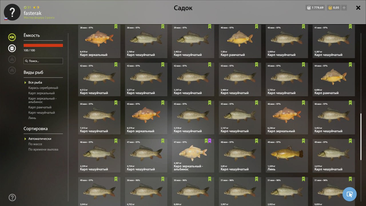 Садок — Озеро Янтарное