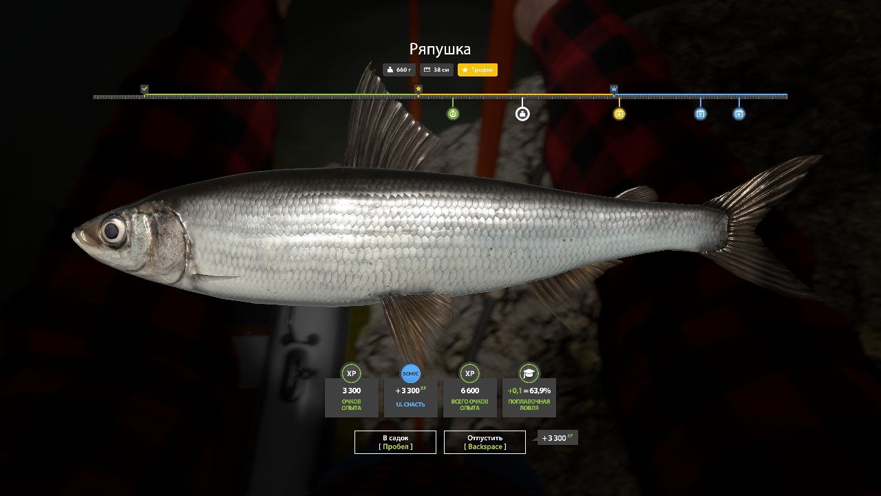 Trophy — Kuori Lake