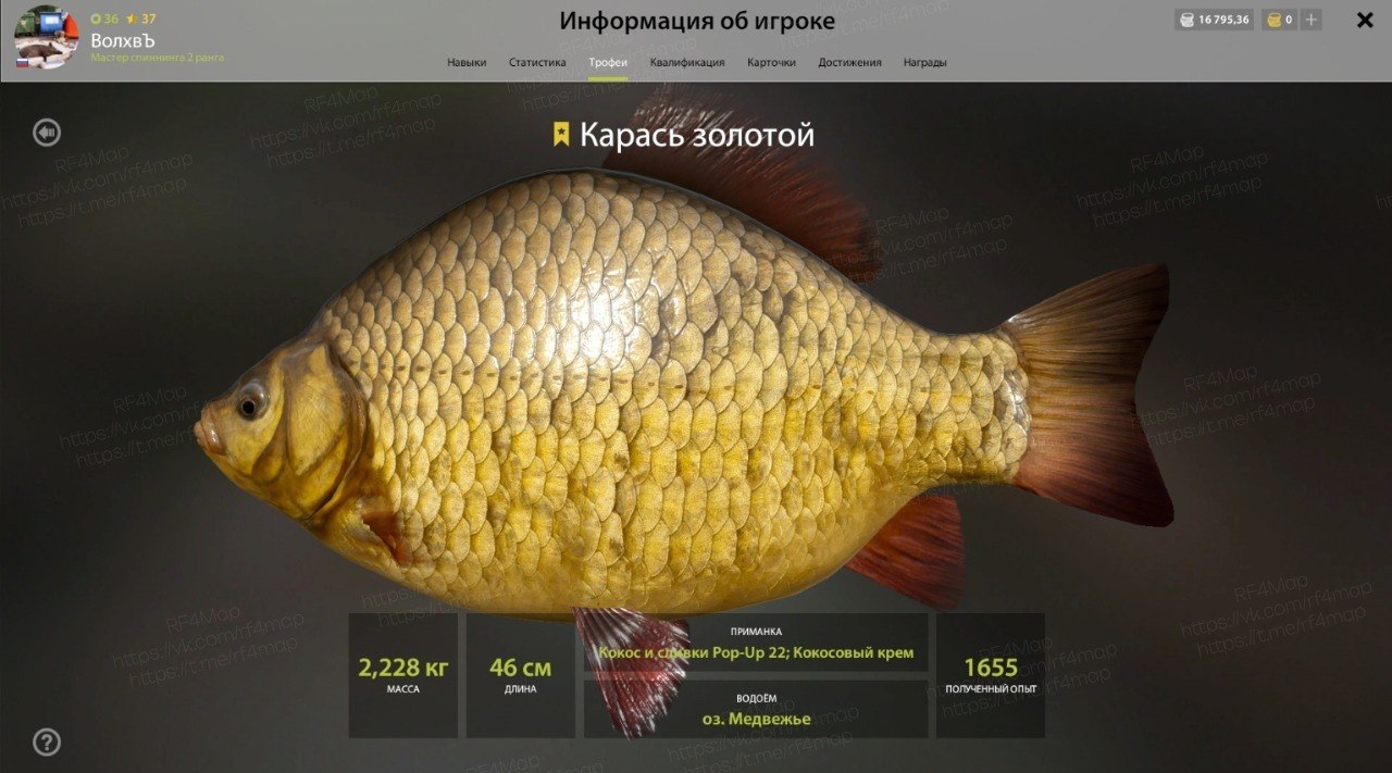Озеро Медвежье