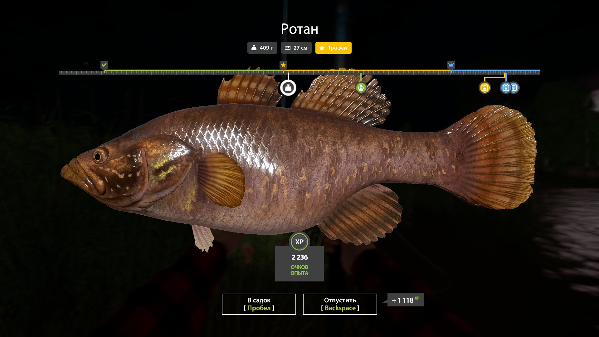Mosquito Lake — Trophy