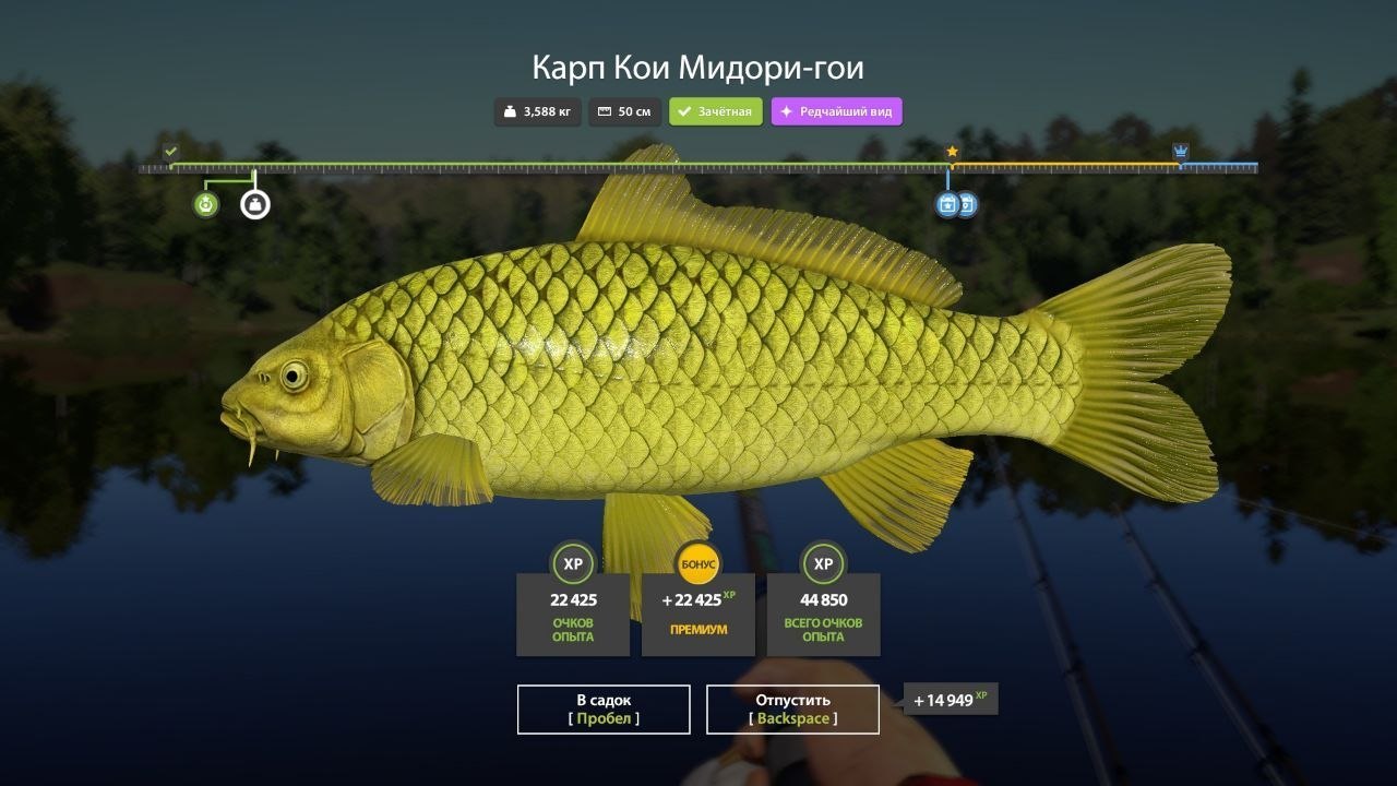 Miscellaneous — Mosquito Lake