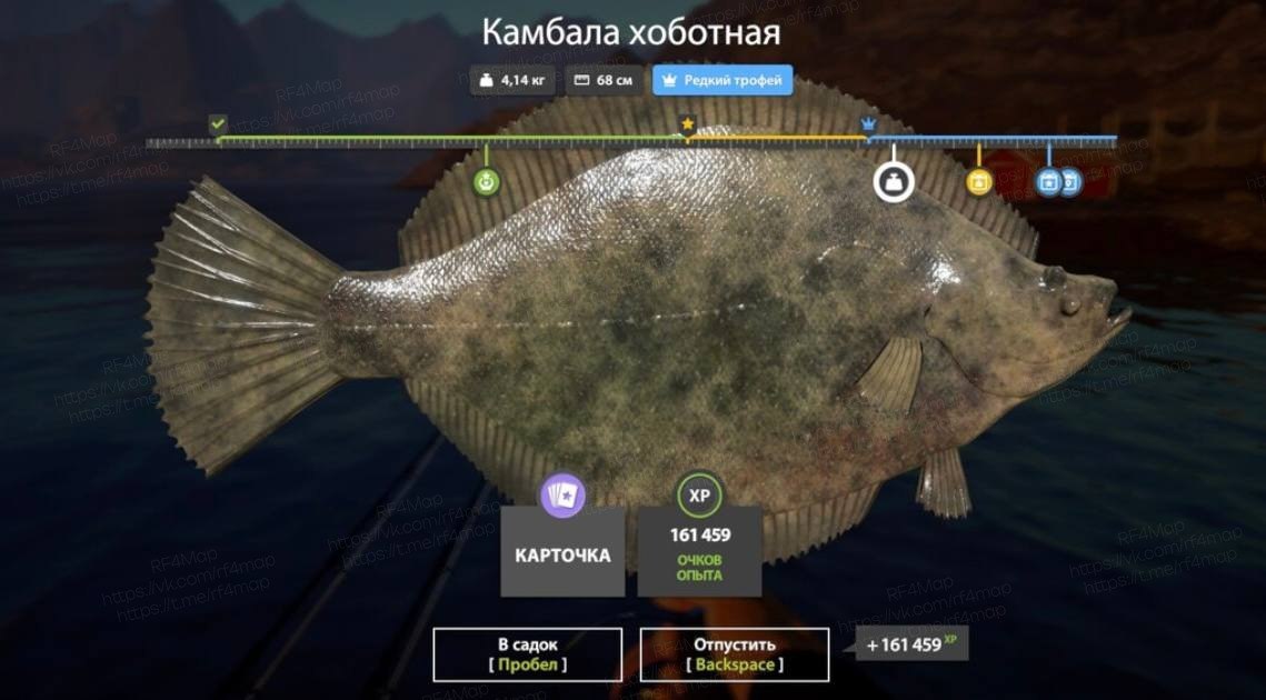 Норвежское море