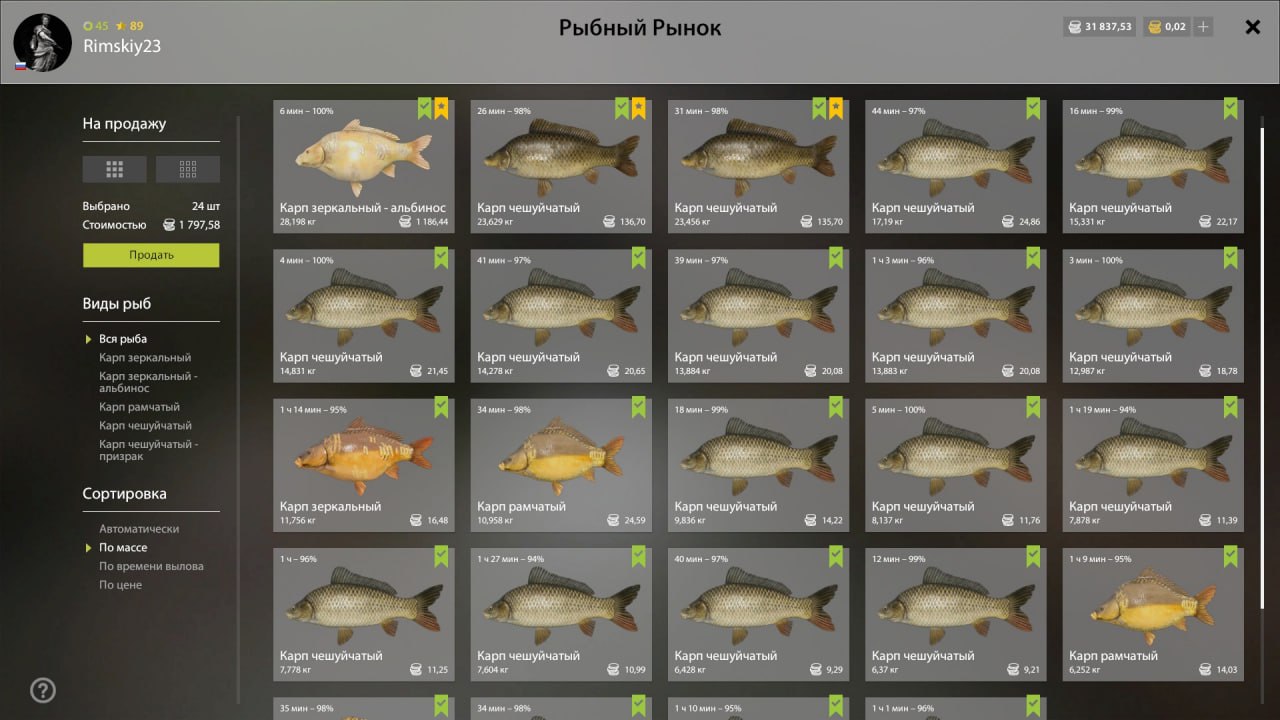 The Amber Lake — Keepnet