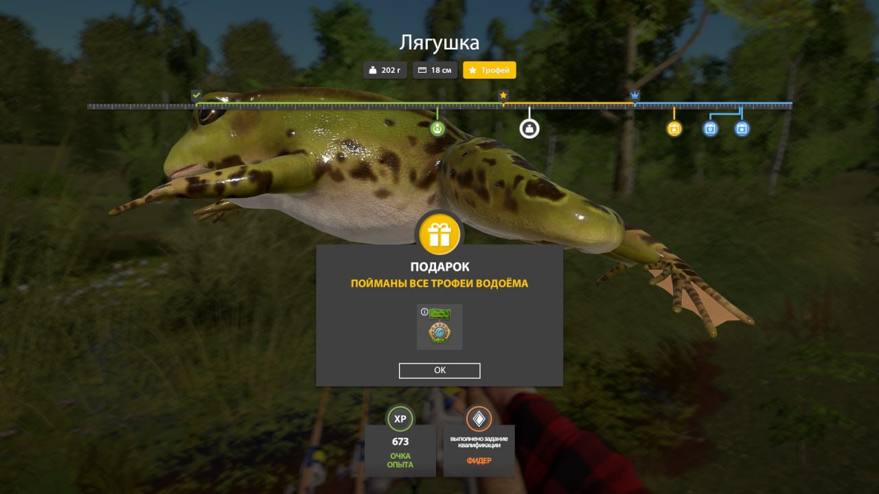 Trophy — Mosquito Lake