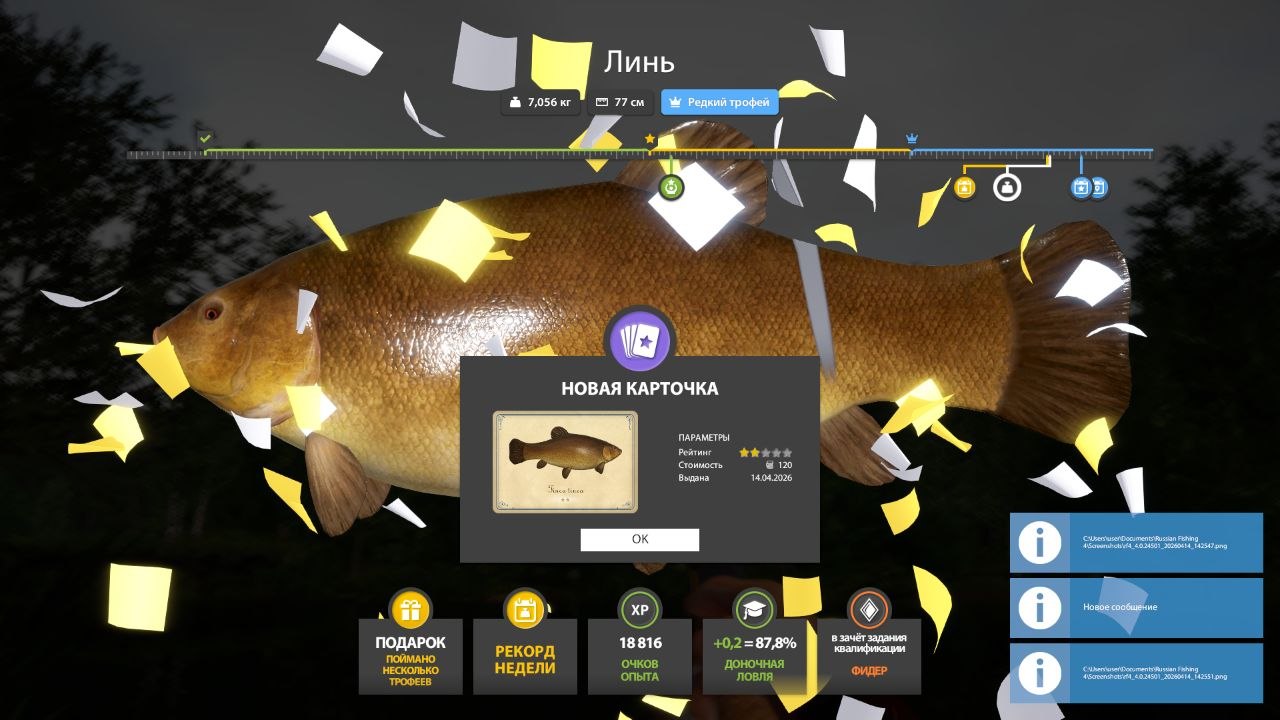 Copper Lake — Trophy