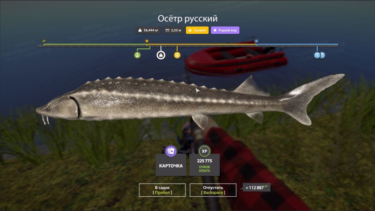 Река Ахтуба — Трофей