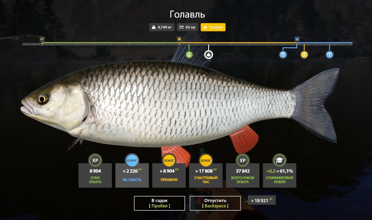 Trophy — Belaya River