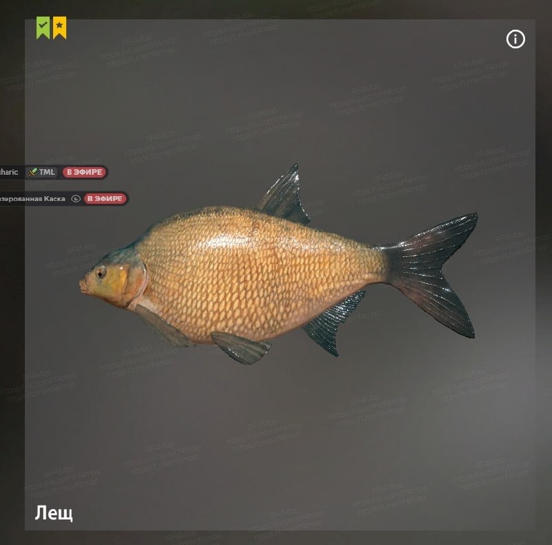 Old Burg Lake — Trophy